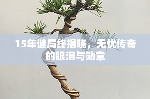 无忧传奇的眼泪与勋章图片