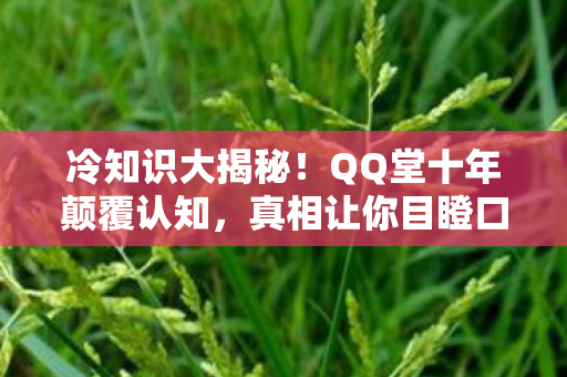 QQ堂十年颠覆认知图片