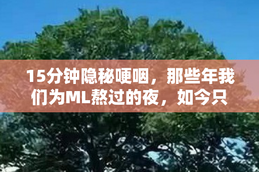 那些年我们为ML熬过的夜图片