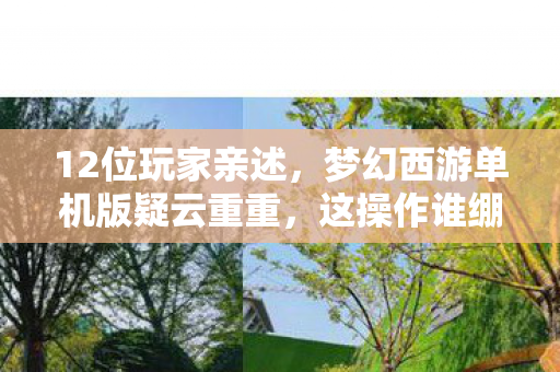 梦幻西游单机版疑云重重图片