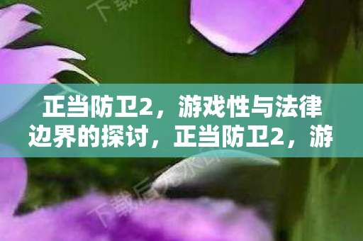 正当防卫2，游戏性与法律边界的探讨，正当防卫2，游戏性与法律边界的探讨