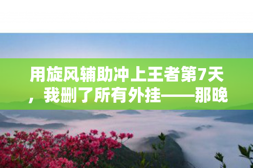 用旋风辅助冲上王者第7天图片
