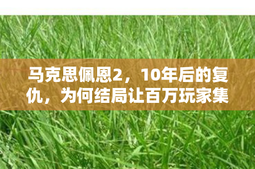 为何结局让百万玩家集体破防图片