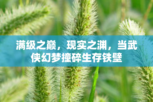 当武侠幻梦撞碎生存铁壁图片
