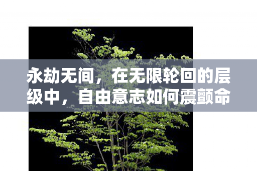 自由意志如何震颤命运之弦图片