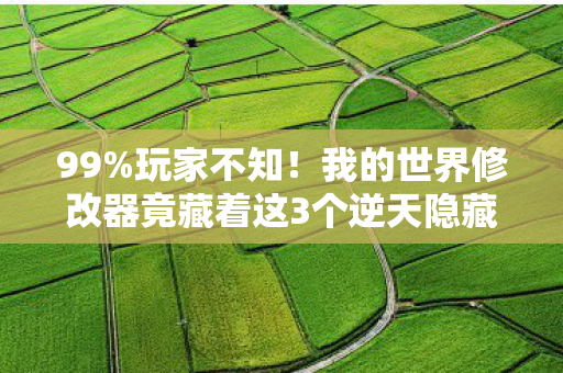我的世界修改器竟藏着这3个逆天隐藏机制图片