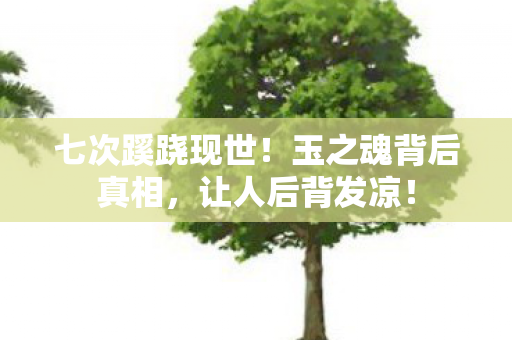 玉之魂背后真相图片