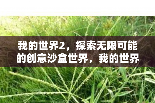 我的世界2，探索无限可能的创意沙盒世界，我的世界2，探索创意沙盒世界的无限可能