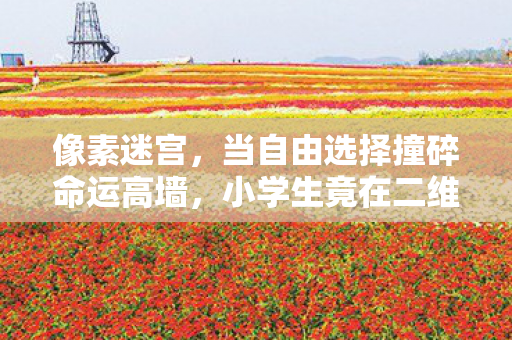小学生竟在二维世界触摸存在主义真相图片