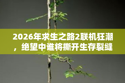 2026年求生之路2联机狂潮图片