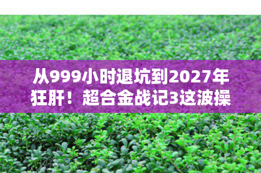 从999小时退坑到2027年狂肝图片