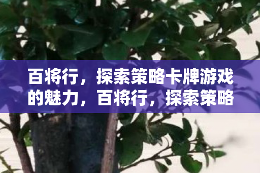 百将行,探索策略卡牌游戏的魅力,百将行,探索策略卡牌游戏的独特魅力 百将行,探索策略卡牌游戏的魅力,百将行,探索策略卡牌游戏的独特魅力