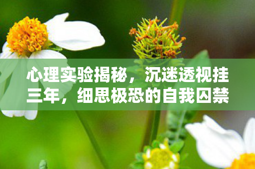 细思极恐的自我囚禁图片