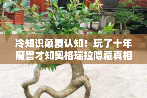玩了十年魔兽才知奥格瑞拉隐藏真相图片