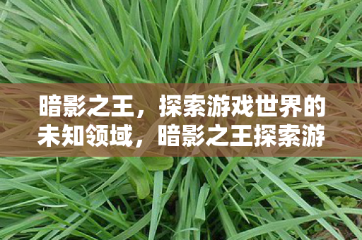 暗影之王,探索游戏世界的未知领域,暗影之王探索游戏世界的未知领域 暗影之王,探索游戏世界的未知领域,暗影之王探索游戏世界的未知领域