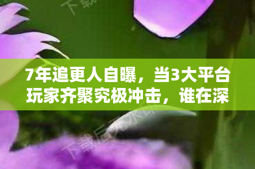 当3大平台玩家齐聚究极冲击图片