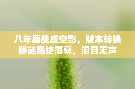 版本转换器谜局终落幕图片