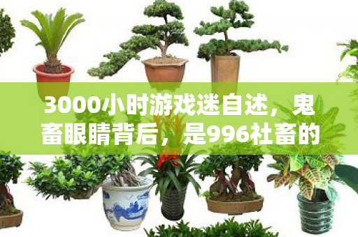 3000小时游戏迷自述图片