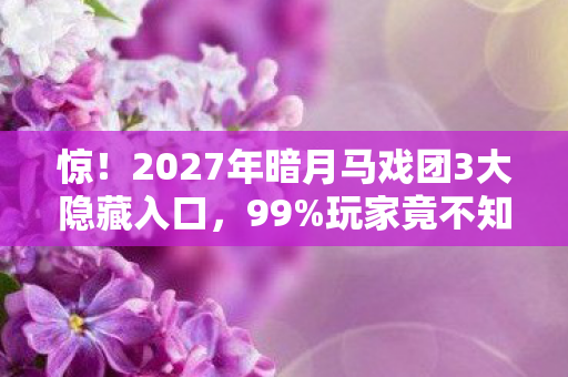 2027年暗月马戏团3大隐藏入口图片