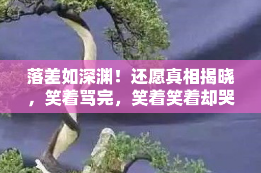 笑着笑着却哭了图片