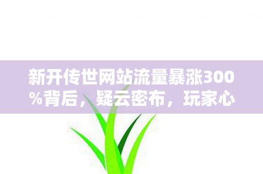 新开传世网站流量暴涨300图片