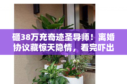 砸38万充奇迹圣导师图片