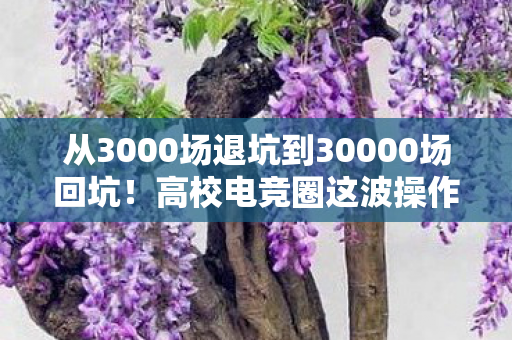 从3000场退坑到30000场回坑图片
