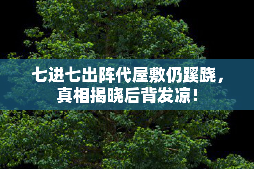 七进七出阵代屋敷仍蹊跷图片
