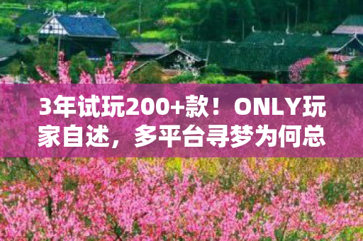 多平台寻梦为何总心酸图片