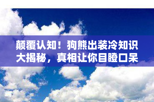 狗熊出装冷知识大揭秘图片