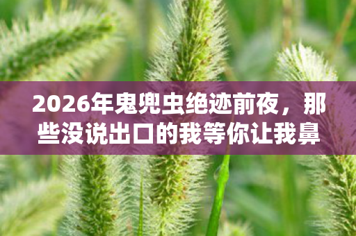 那些没说出口的我等你让我鼻子一酸图片