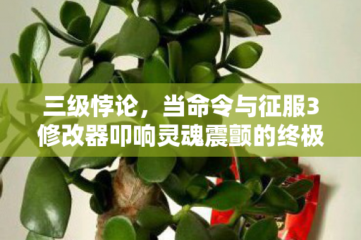 当命令与征服3修改器叩响灵魂震颤的终极审判图片