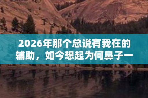 2026年那个总说有我在的辅助，如今想起为何鼻子一酸？