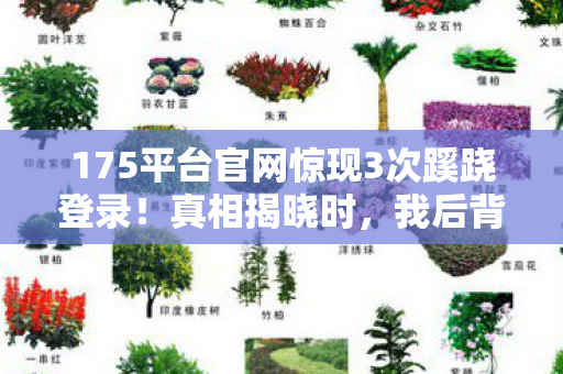 175平台官网惊现3次蹊跷登录图片