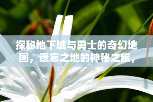 探秘地下城与勇士的奇幻地图,遗忘之地的神秘之旅,探秘遗忘之地,地下城与勇士的奇幻地图之旅 探秘地下城与勇士的奇幻地图,遗忘之地的神秘之旅,探秘遗忘之地,地下城与勇士的奇幻地图之旅