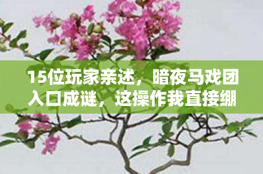 15位玩家亲述，暗夜马戏团入口成谜，这操作我直接绷不住！