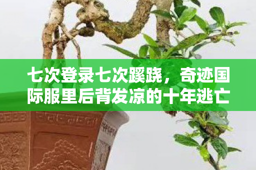 奇迹国际服里后背发凉的十年逃亡图片