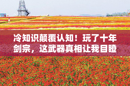 冷知识颠覆认知!玩了十年剑宗,这武器真相让我目瞪口呆! 冷知识颠覆认知!玩了十年剑宗,这武器真相让我目瞪口呆!