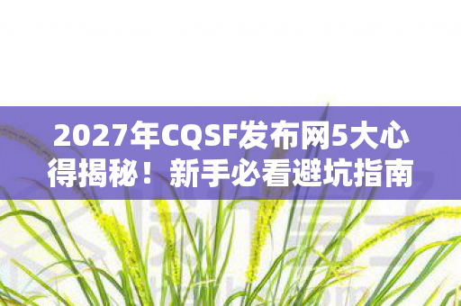 2027年CQSF发布网5大心得揭秘图片