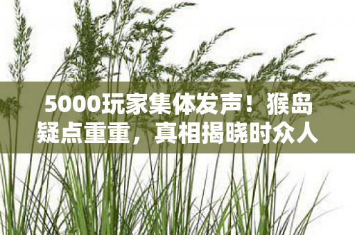 真相揭晓时众人绷不住了图片