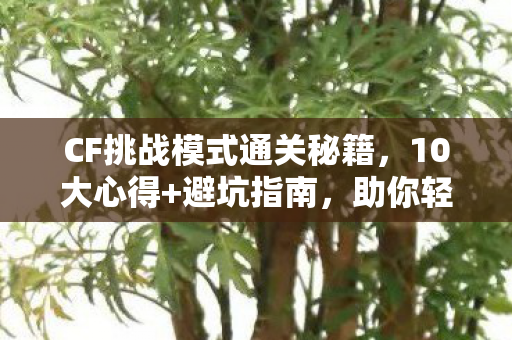 CF挑战模式通关秘籍图片