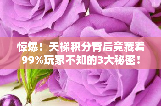 天梯积分背后竟藏着99图片