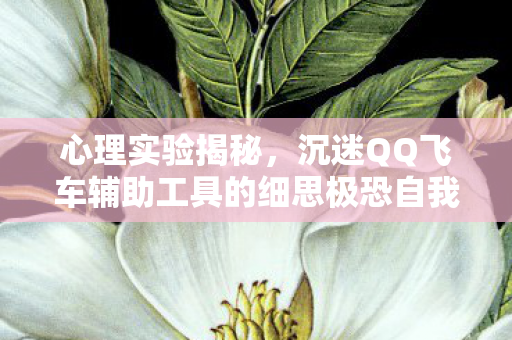 沉迷QQ飞车辅助工具的细思极恐自我麻醉之旅图片