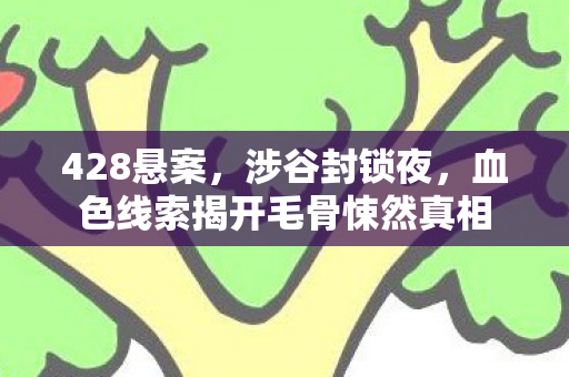428悬案,涉谷封锁夜,血色线索揭开毛骨悚然真相 428悬案,涉谷封锁夜,血色线索揭开毛骨悚然真相