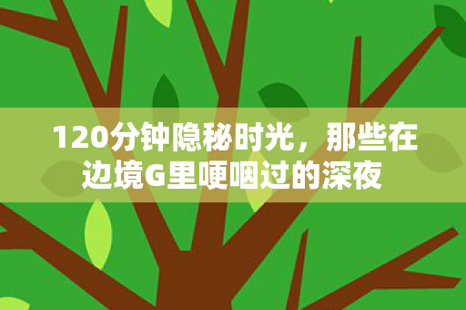 120分钟隐秘时光，那些在边境G里哽咽过的深夜