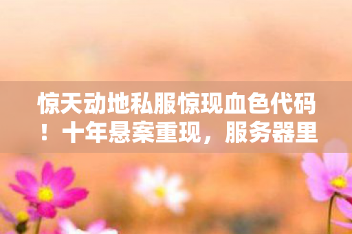 惊天动地私服惊现血色代码!十年悬案重现,服务器里藏着毛骨悚然的真相 惊天动地私服惊现血色代码!十年悬案重现,服务器里藏着毛骨悚然的真相