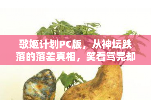 歌姬计划PC版,从神坛跌落的落差真相,笑着骂完却哭着打开 歌姬计划PC版,从神坛跌落的落差真相,笑着骂完却哭着打开