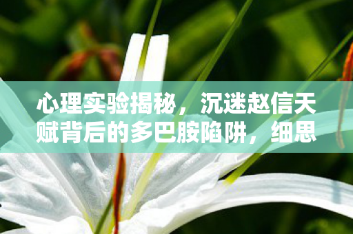 心理实验揭秘,沉迷赵信天赋背后的多巴胺陷阱,细思极恐! 心理实验揭秘,沉迷赵信天赋背后的多巴胺陷阱,细思极恐!