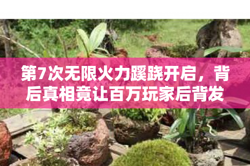第7次无限火力蹊跷开启,背后真相竟让百万玩家后背发凉! 第7次无限火力蹊跷开启,背后真相竟让百万玩家后背发凉!