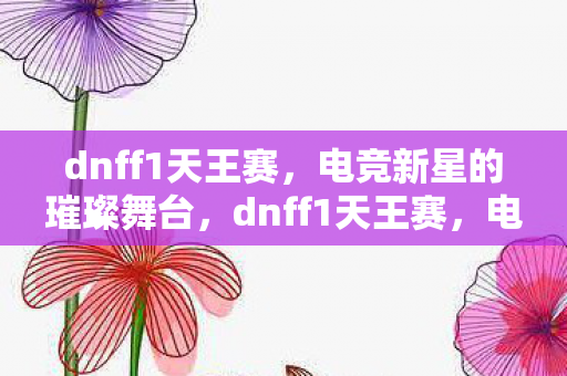 dnff1天王赛,电竞新星的璀璨舞台,dnff1天王赛,电竞新星的璀璨舞台 dnff1天王赛,电竞新星的璀璨舞台,dnff1天王赛,电竞新星的璀璨舞台